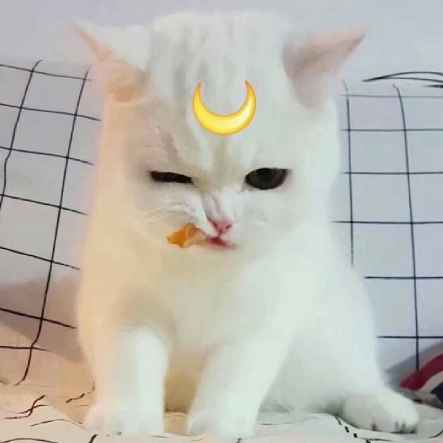 柠檬不萌