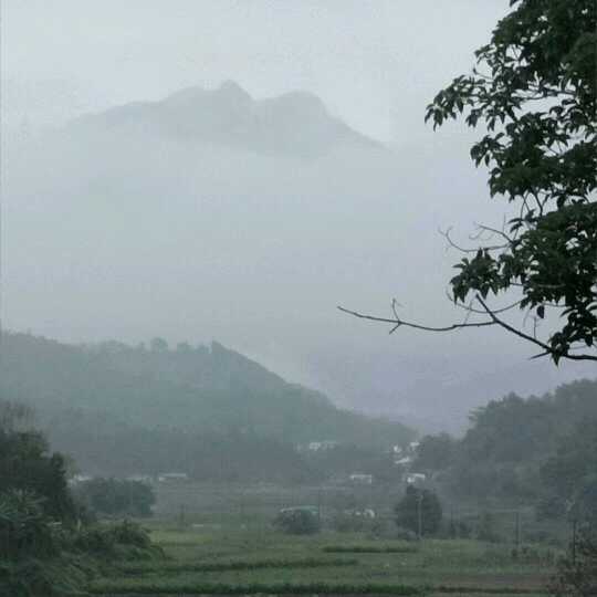 封心锁爱i