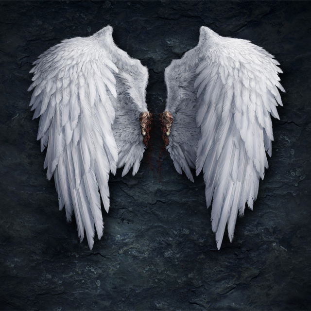 清叶陪玩优惠中直播间关注粉丝_清叶陪玩优惠