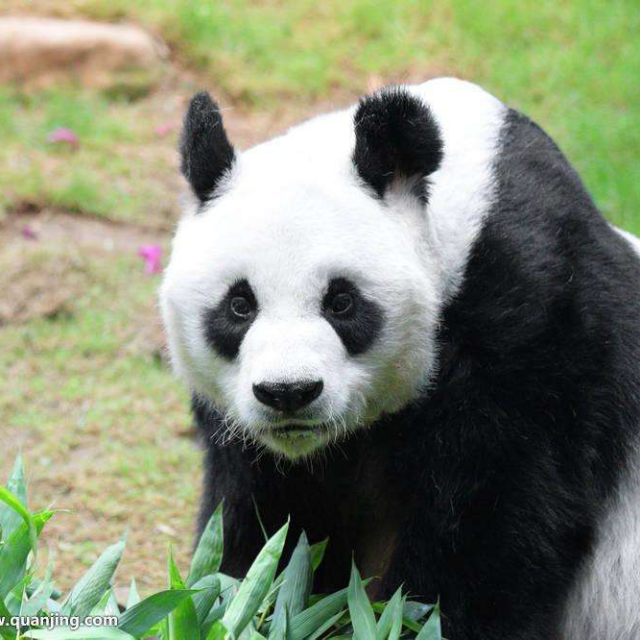 【西部】╰宝哥直播间关注粉丝_【西部】╰宝