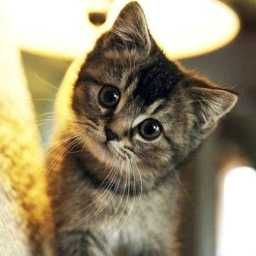 叶笙&bull;Vk视频直播全集_叶笙&bull;Vk资料大全-Y