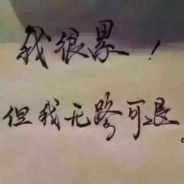 可惜我是 刘小雨