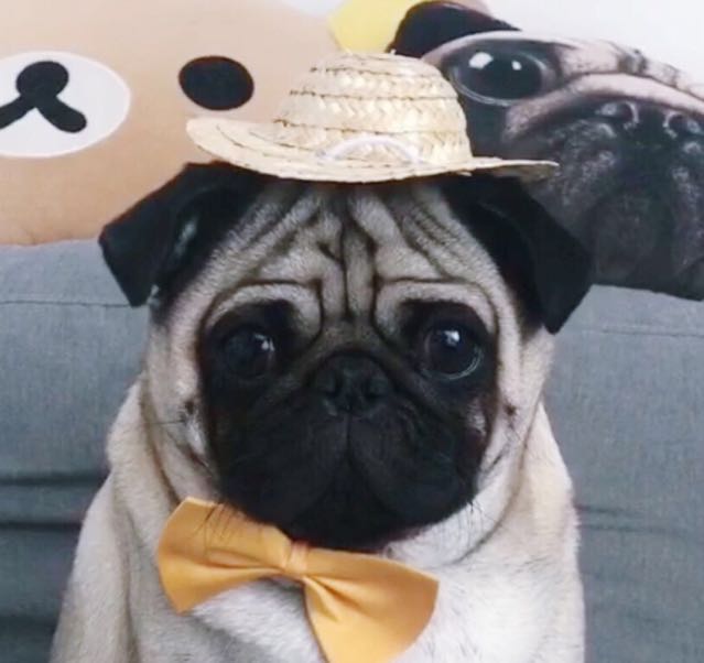 香港仁爱医院妇科院长直播间关注粉丝_香港仁