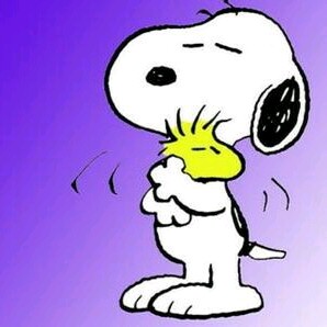 09直播间关注粉丝_09粉丝留言_09粉丝排行榜