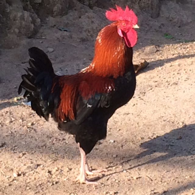 隐者直播间关注粉丝_隐者粉丝留言_隐者粉丝