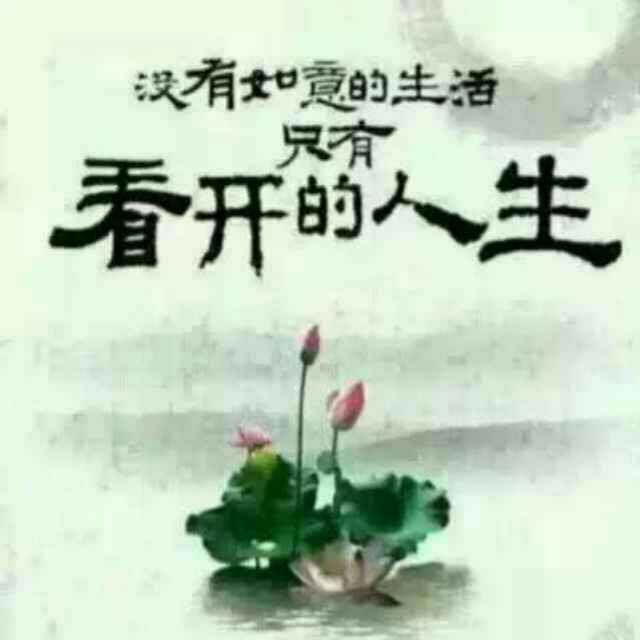 随缘文