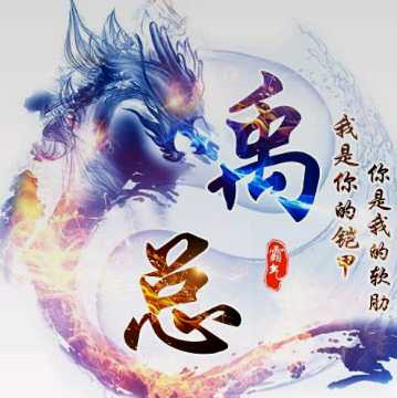 禹总