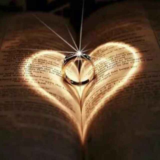 樱花DOF丶②组管理→帅气《琦总团队》直播