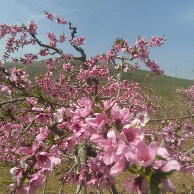 爱家视频直播全集_爱家资料大全-YY官方