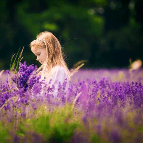 逗B苍 虎牙不给寄解约合同 冻结直播的关注和