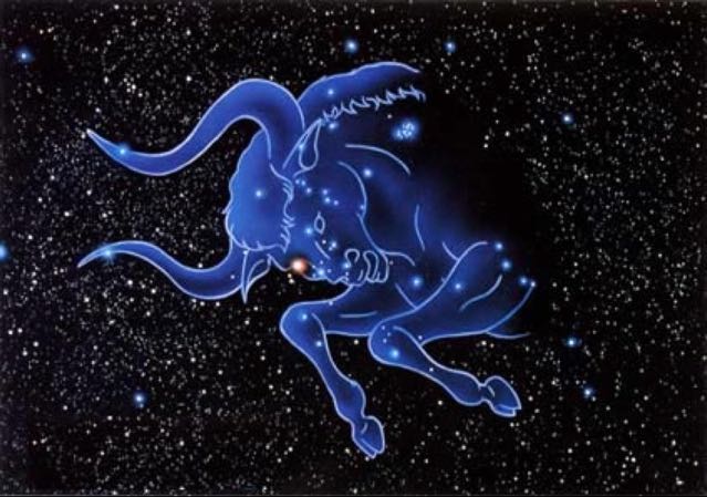 陌陌直播间关注粉丝_陌陌粉丝留言_陌陌粉丝