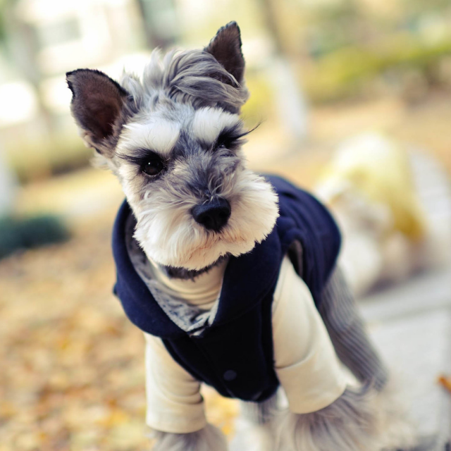 手机电脑挂丫丫-挂游戏工资日结加我的主页-Y