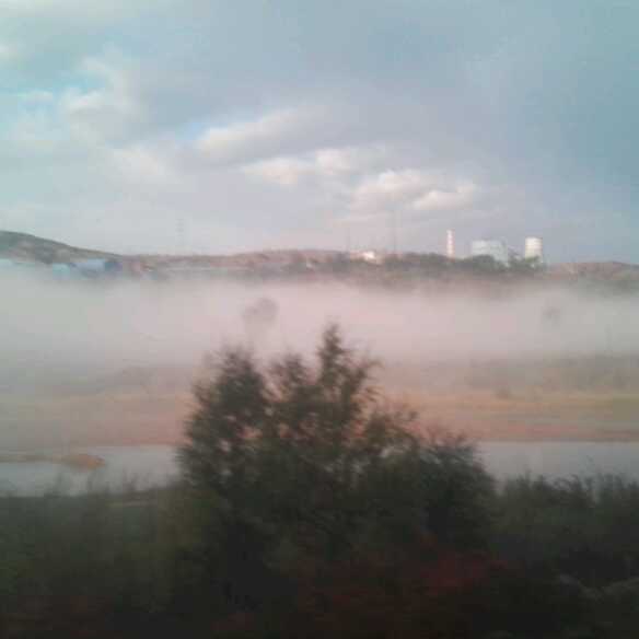 Y. 夏天直播间关注粉丝_Y. 夏天粉丝留言_Y. 夏