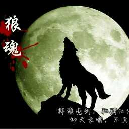 天狼【仰天长啸,不灭狼魂】