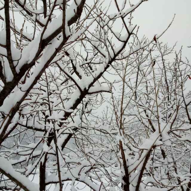 红太阳