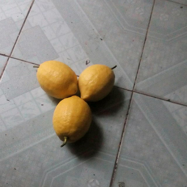 5510香草直播间关注粉丝_5510香草粉丝留言