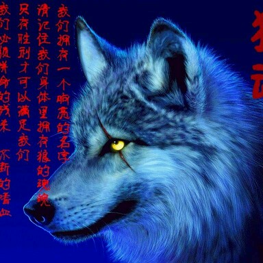 头像截图