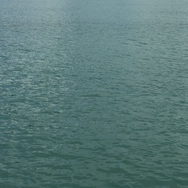 TKzhun直播间关注粉丝_TKzhun粉丝留言_TKz