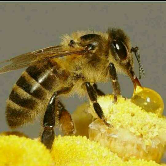 :)顾离★彬蔚直播间关注粉丝_:)顾离★彬蔚粉丝