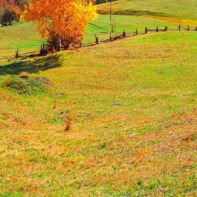 烧烤大师实体技术培训