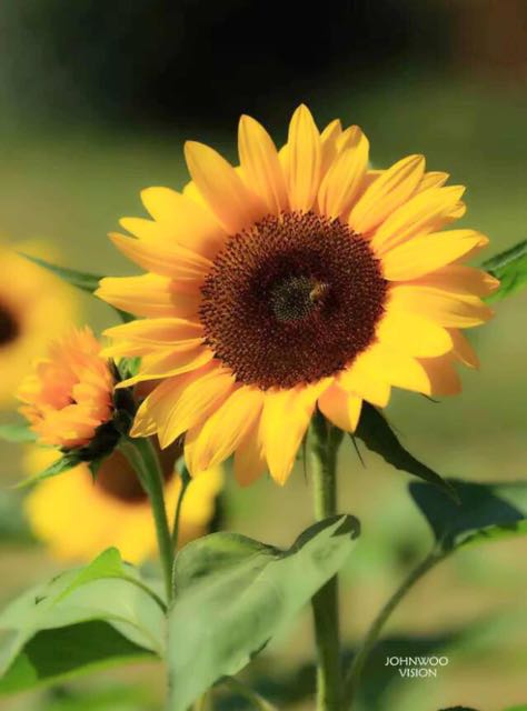 舞帝.荷尔蒙 战为舞帝直播间关注粉丝_舞帝.荷