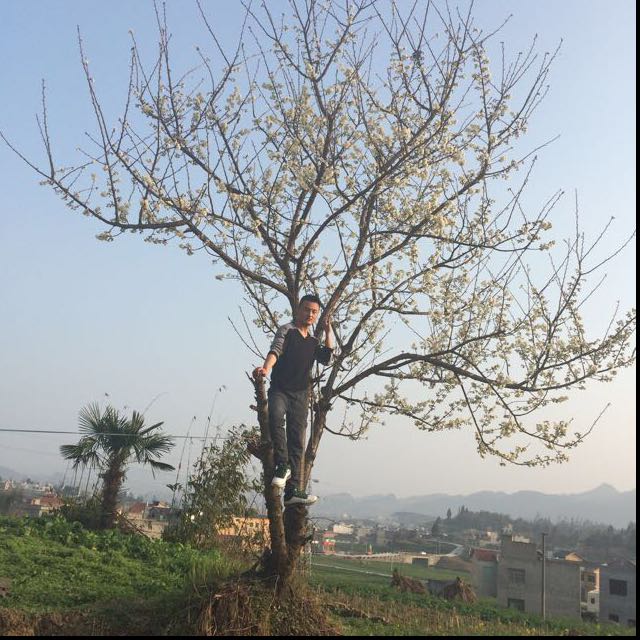 84视频直播全集_84资料大全-YY官方