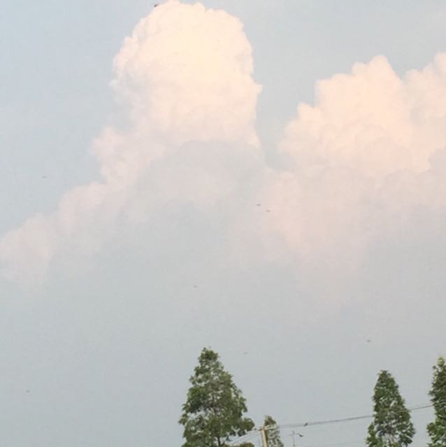 丁佑的天堂的回放