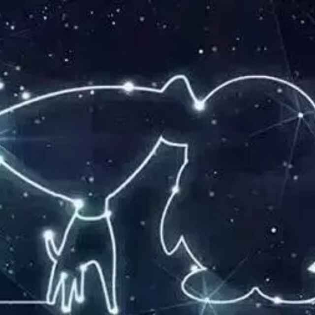 懂你的人