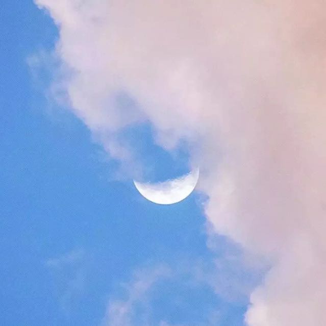 麒麟大帝直播间关注粉丝_麒麟大帝粉丝留言_