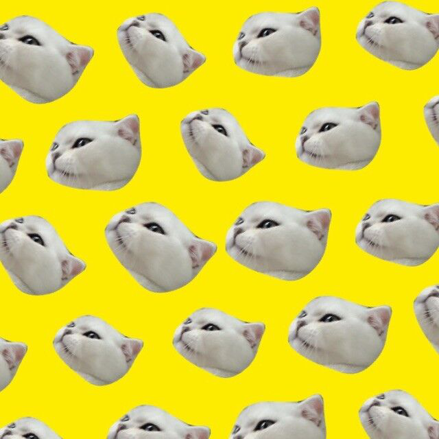 简自豪直播间关注粉丝_简自豪粉丝留言_简自