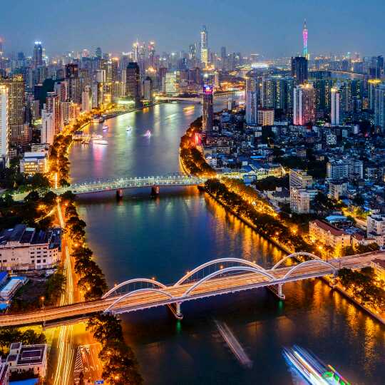 楠楠(上山打老虎)直播间关注粉丝_楠楠(上山打