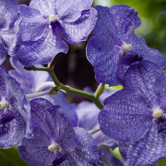 马洪刚05直播间关注粉丝_马洪刚05粉丝留言_