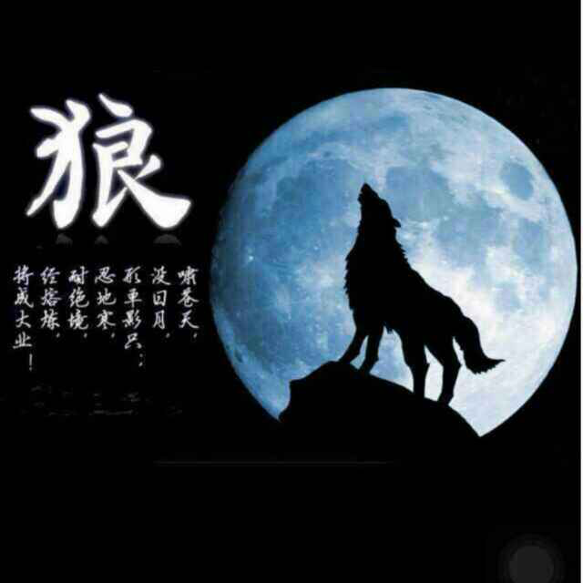 狼啸九天