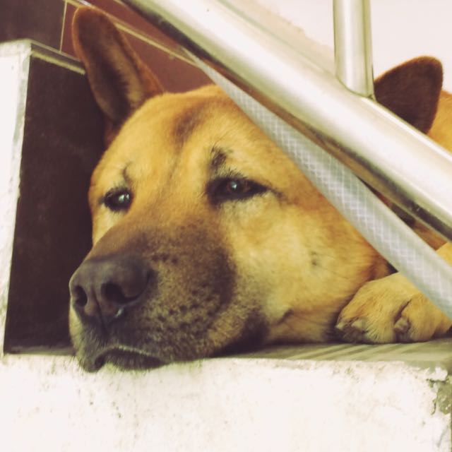 韩宇哥哥视频直播全集_韩宇哥哥资料大全-YY官