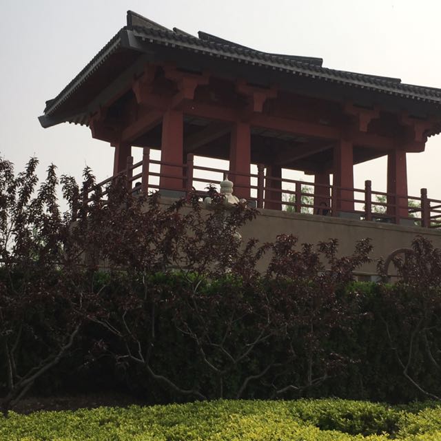 官方实名认证的主页-YY直播-YY.COM中国领先