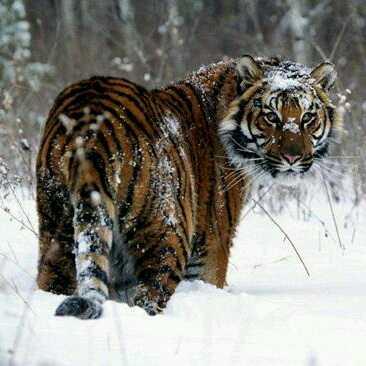 360酱油专属小晴直播间关注粉丝_360酱油专属