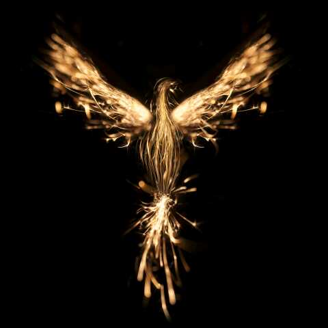 起点视频全集_起点全部视频-YY官方