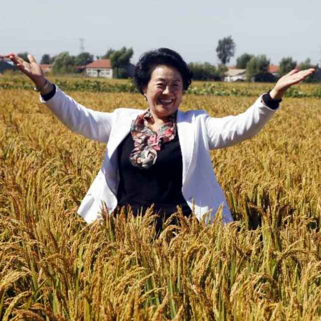 辽宁芳兴绿色产业集团董事长刘芳视频直播全集