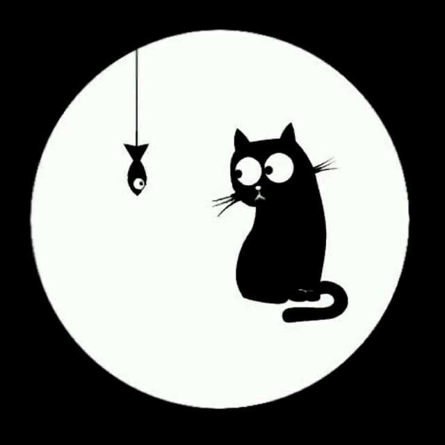 C音琴行、电话18798157677直播间关注粉丝_