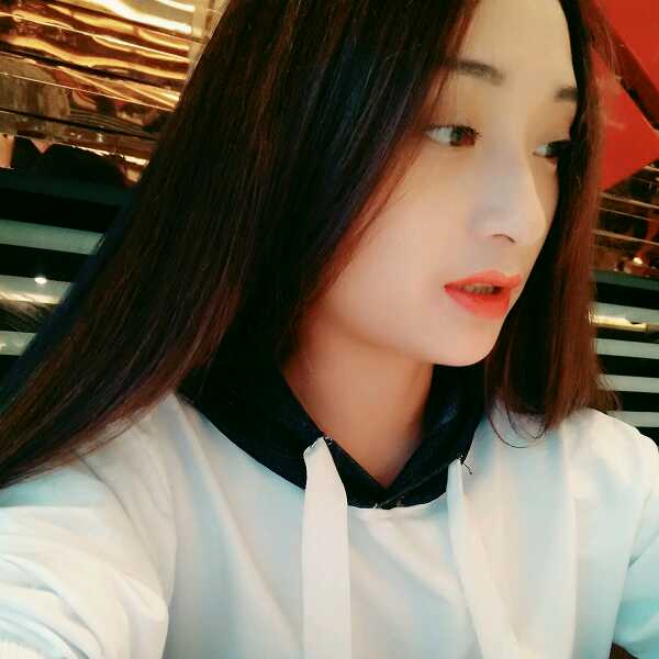 贾小猪