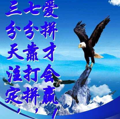 简谱爱拼才会赢_爱拼才会赢简谱歌谱(3)