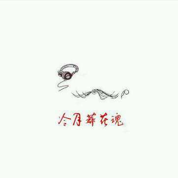 楠宝