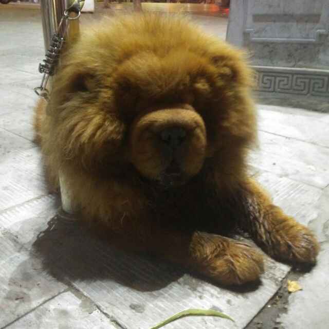 刁蛮公主新闻全集_刁蛮公主最新资讯-YY官方