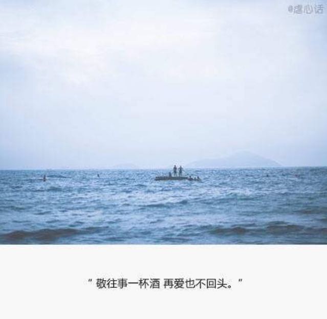 国服第一狼王JY直播间关注粉丝_国服第一狼王