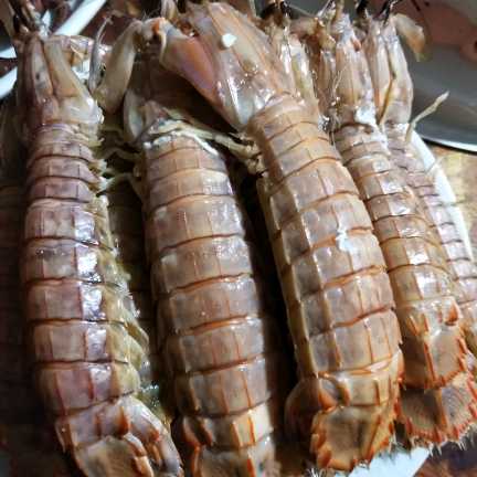 静夜思视频直播全集_静夜思资料大全-YY官方