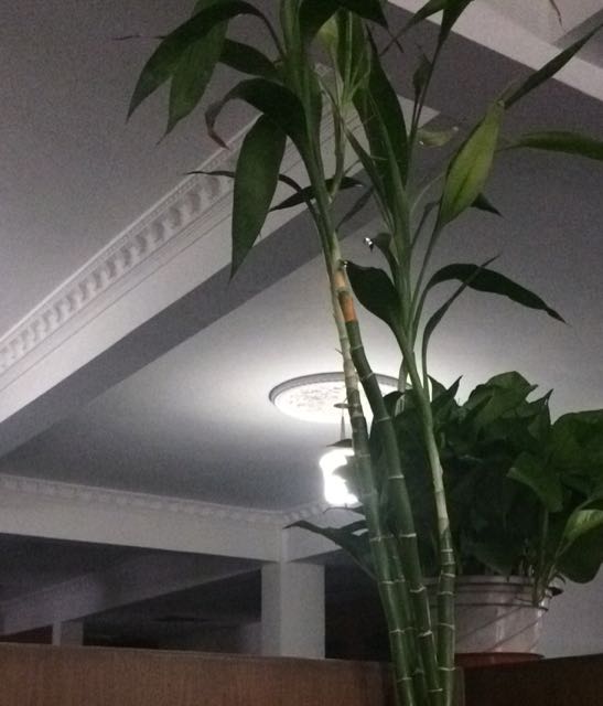 天罡龙骑将新闻全集_天罡龙骑将最新资讯-YY官