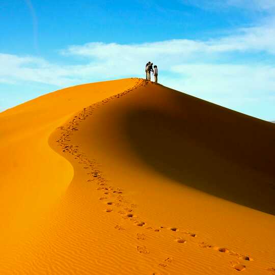 舞帝大壮直播间关注粉丝_舞帝大壮粉丝留言_