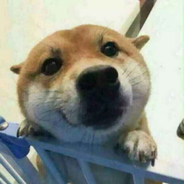 头像截图