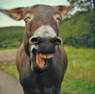 股市风云直播间关注粉丝_股市风云粉丝留言_