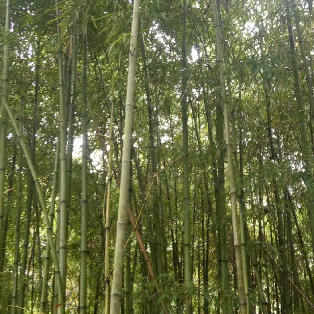 感谢主播睡了我直播间关注粉丝_感谢主播睡了